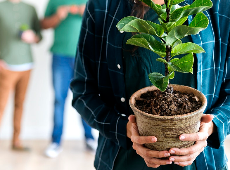 woman holding a plant in a pot
